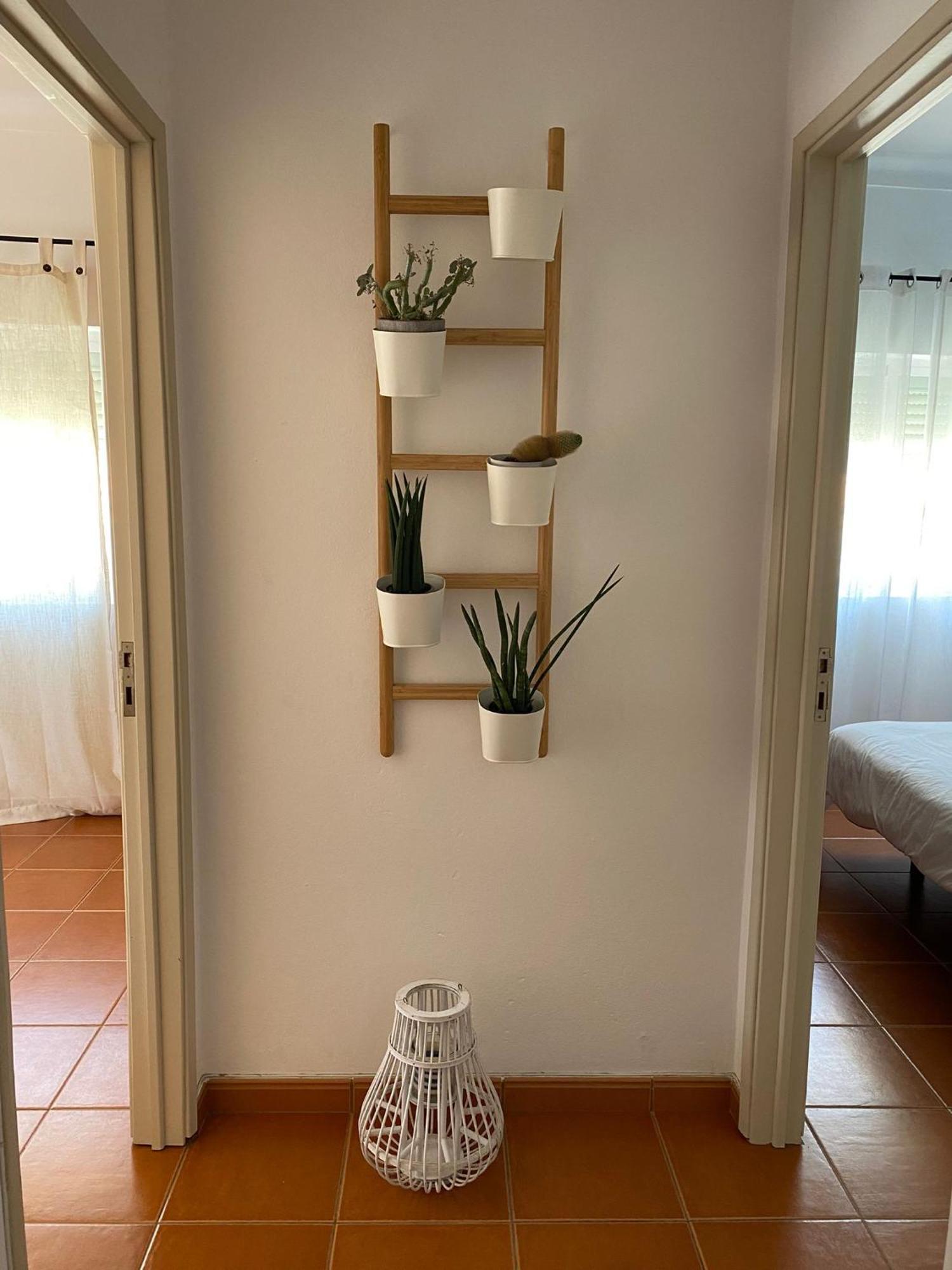 וילה נובה דה מילפונטס Apartamento Vicentino מראה חיצוני תמונה